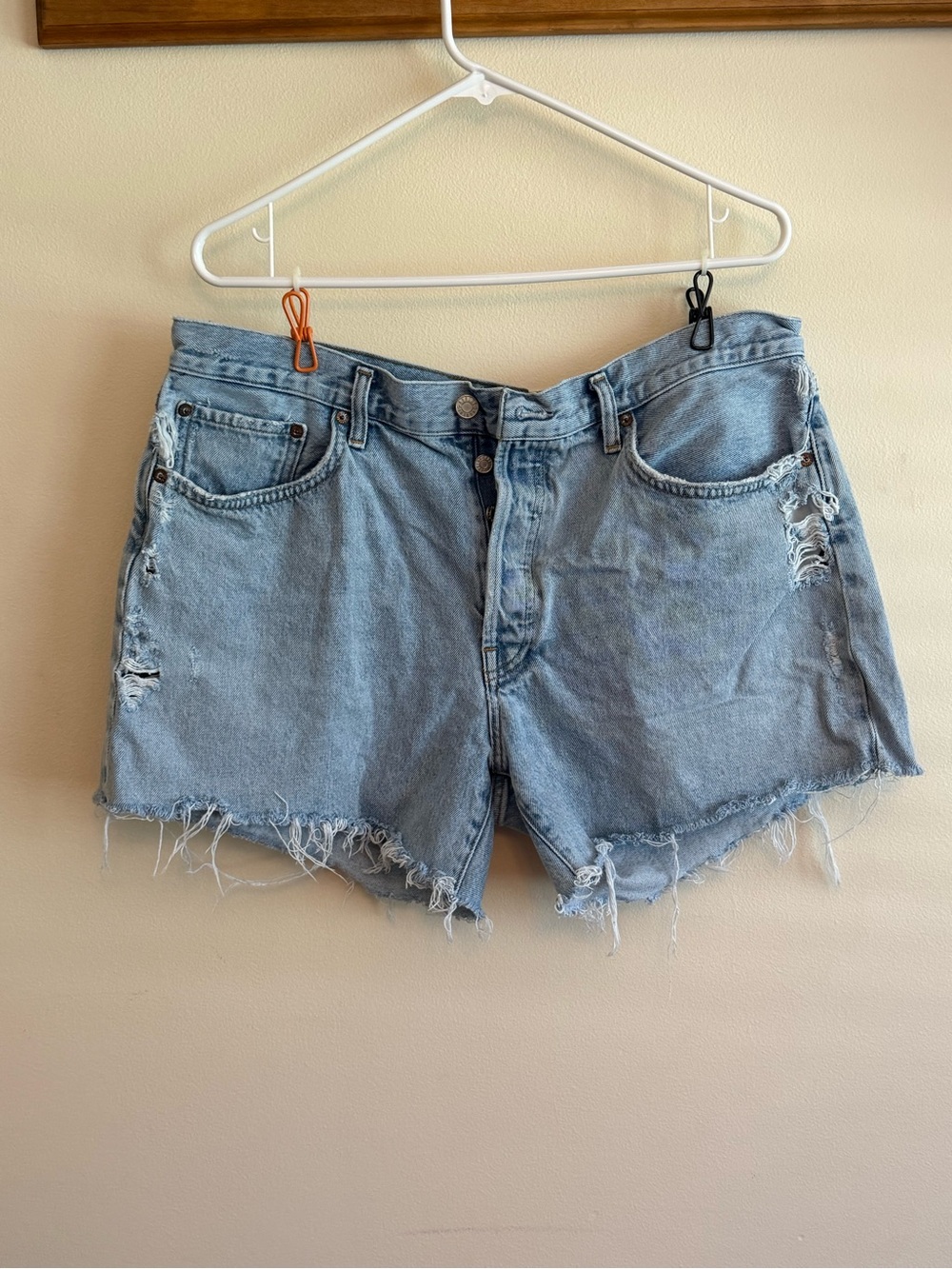 Agolde Parker Shorts